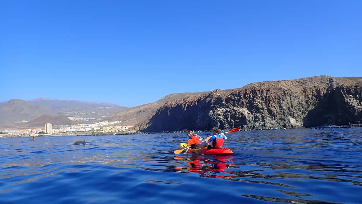image n.11 of Tenerife: Kayak and Snorkel with Turtles with Free Videos activity in Los Cristianos, uploaded by supplier