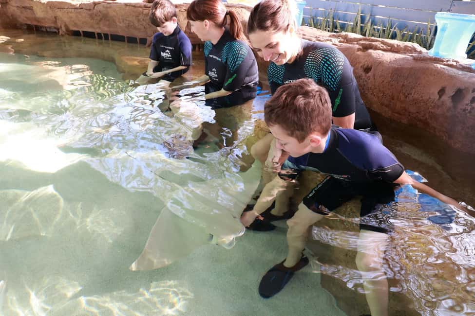 image n.29 of Tampa: ZooQuarium- ZooTampa & Florida Aquarium Combo Ticket activity in Tampa, uploaded by supplier
