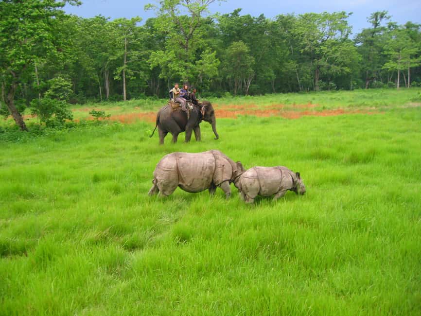 image n.35 of From Kathmandu/Pokhara: 3 Day All-Inclusive Chitwan Safari activity in Pashchimanchal, Western Region, uploaded by supplier