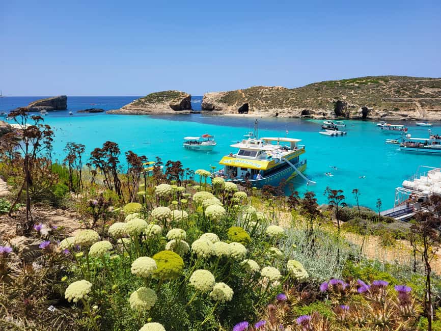 image n.11 of Mellieha: Gozo, Comino, Sea Caves, and Blue Lagoon Cruise activity in Malta, uploaded by supplier
