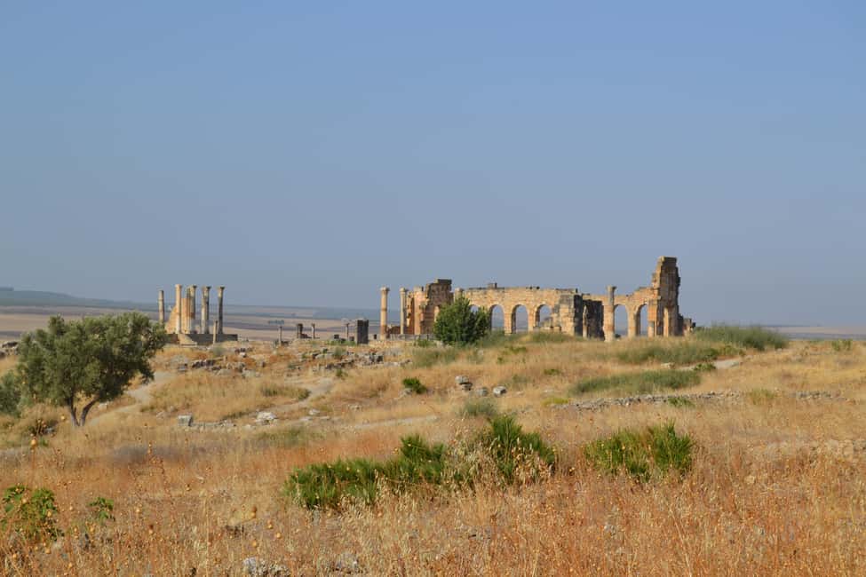 billede nr.29 af aktiviteten Dagstur fra Fes til Volubilis via Meknes og Moulay Idriss i Meknès, uploadet af udbyder