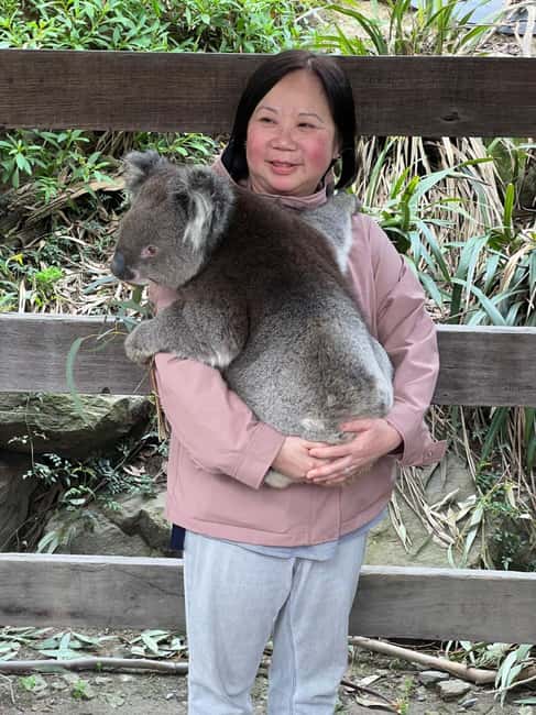 imagen n.º 60 de Desde Adelaida: Abraza a un Koala y Visita Histórica a Hahndorf actividad en Adelaida, subida por el proveedor