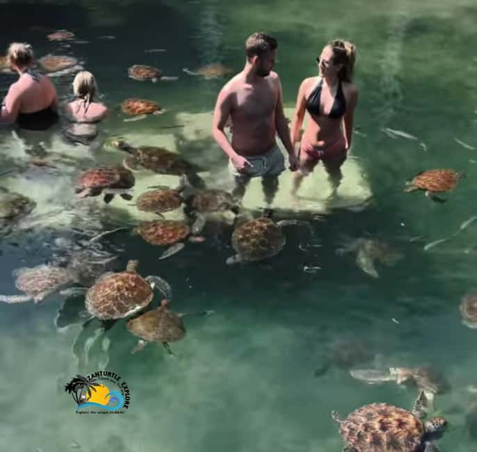image n.21 of Nungwi: Swimming with Turtles at The Lagoons Zanzibar activity in Zanzibar City, uploaded by supplier