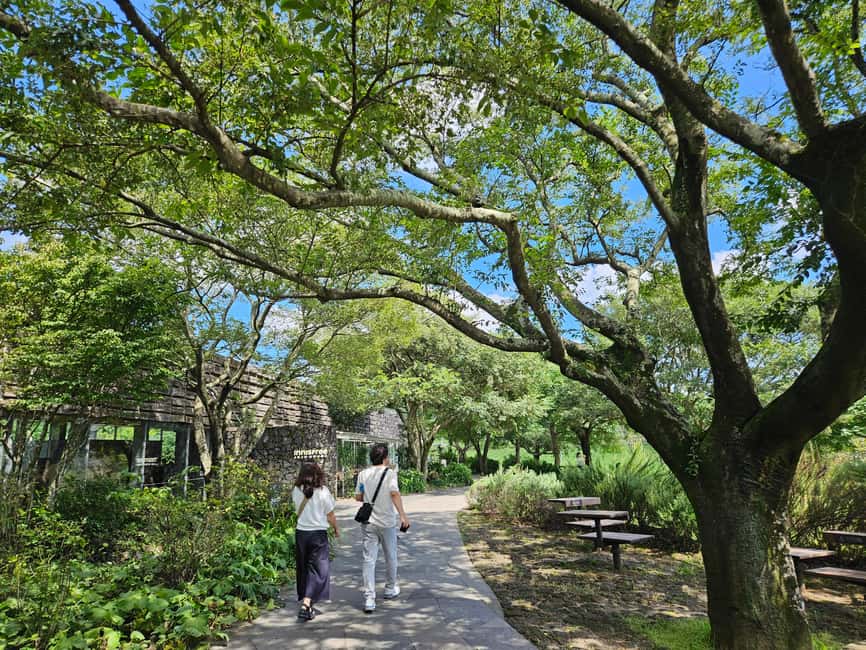 image n.9 of Jeju Island: Full-Day SouthWest Bus Tour with Entry Fees activity in Seogwipo-si, uploaded by supplier