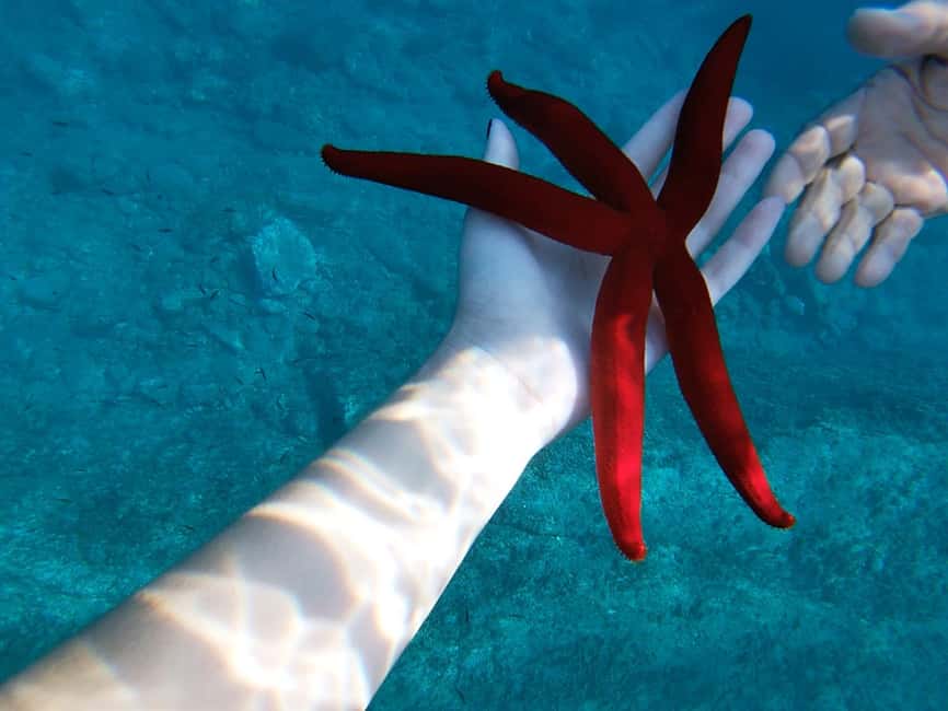 image n.1 of Naxos: Taormina Boat Tour with Snorkeling and Prosecco activity in Taormina, uploaded by supplier