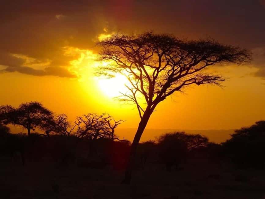image n.22 of Tsavo East and Tsavo West Sanctuary Safari activity in Coast Province, uploaded by supplier