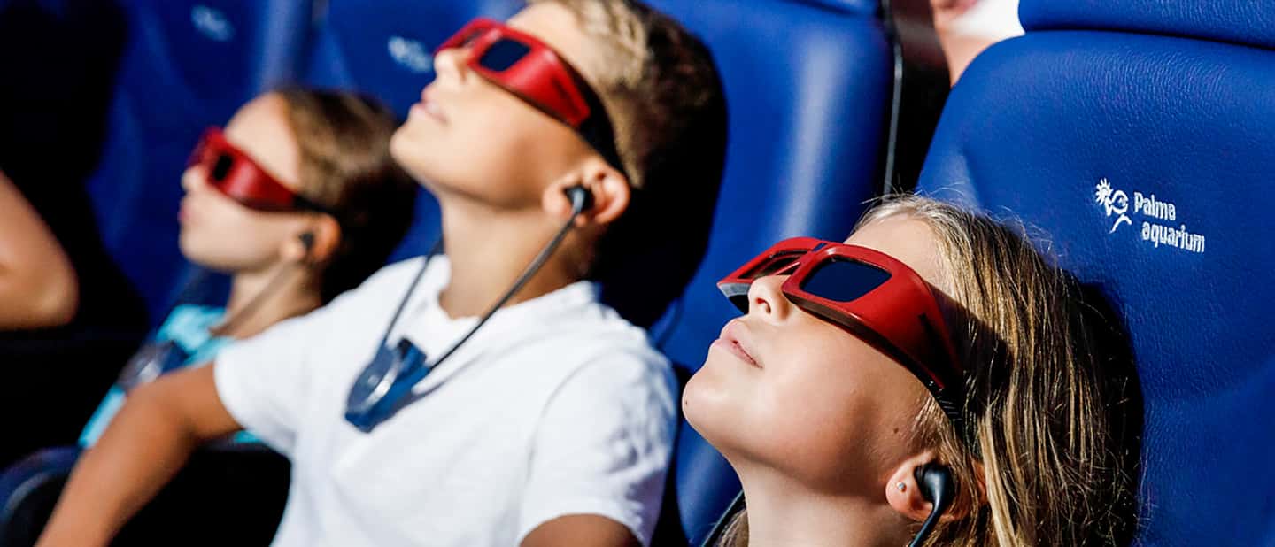 afbeelding n.10 van Mallorca: Toegangbewijs Palma Aquarium met Optionele 3D Bioscoop activiteit in Palma de Mallorca, geüpload door aanbieder