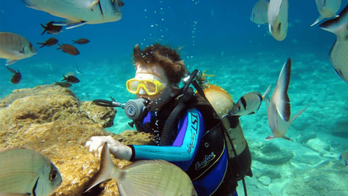 image n.8 of Bodrum: Scuba Diving Experience activity in Aegean Coast Region, Turkey, uploaded by supplier