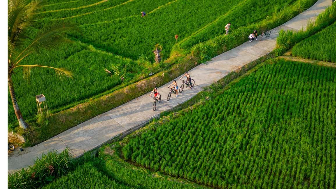 image n.5 of E-Bike: Ubud Rice Terraces & Traditional Villages Cycling activity in Bali, uploaded by supplier