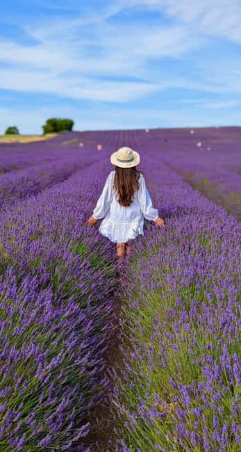 image n.1 of Baku-Gabala-Shamakhi-Tufandag -Nohur lake - Lavender fields activity in Gebele, uploaded by supplier