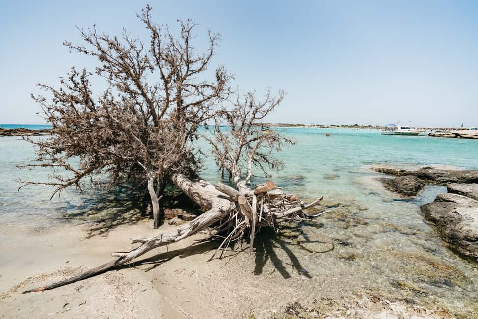 Immagine nº 10 di Da Rethymno/Kavros: Tour della spiaggia di sabbia rosa di Elafonissi attività a Chania, caricata dal fornitore