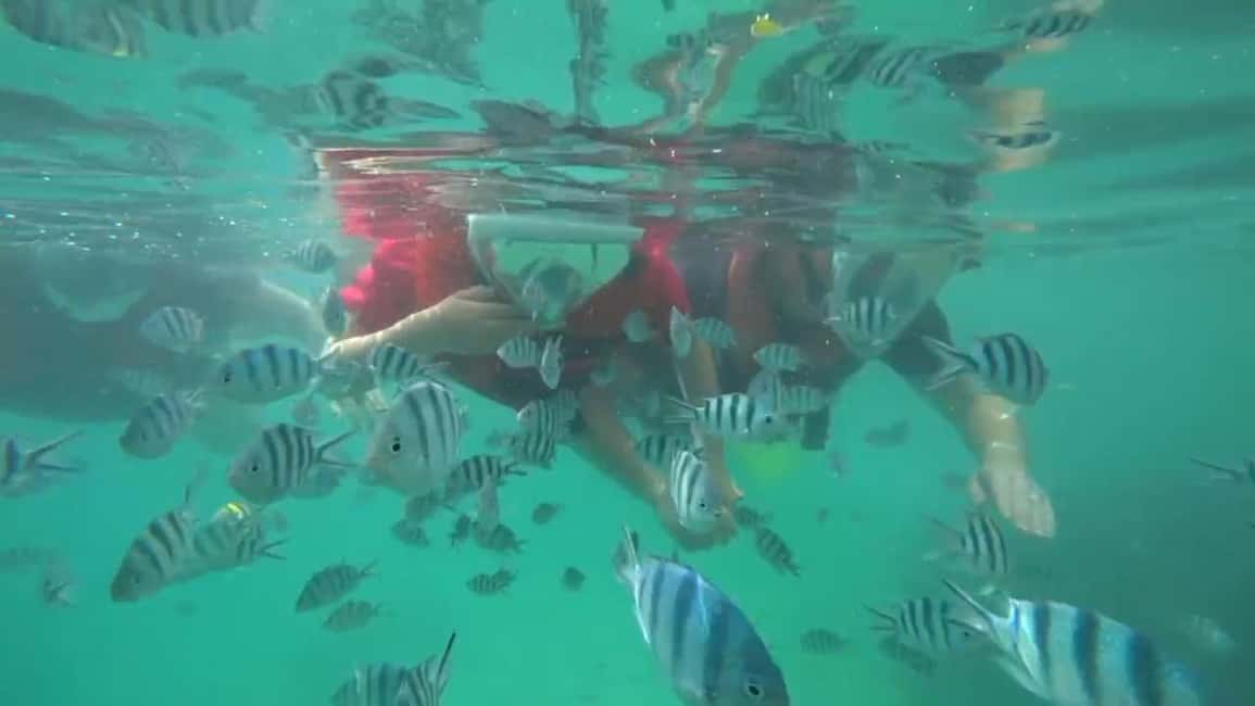 image n.2 of Bintan Snorkeling activity in Riau Islands, uploaded by supplier