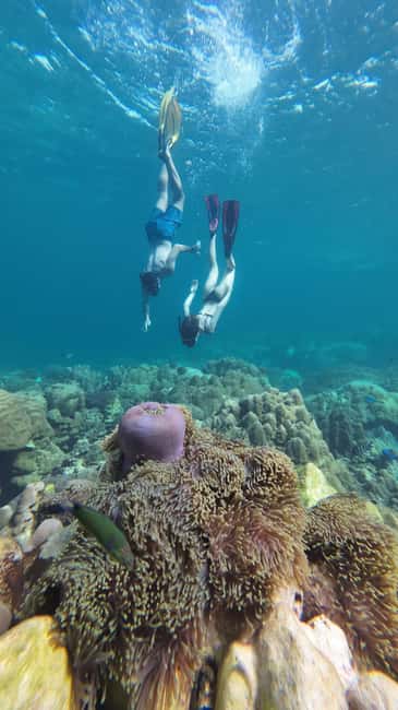 image n.23 of Koh Lipe: Longtail Boat Snorkeling Trip with Lunch activity in Gulf of Thailand, uploaded by supplier