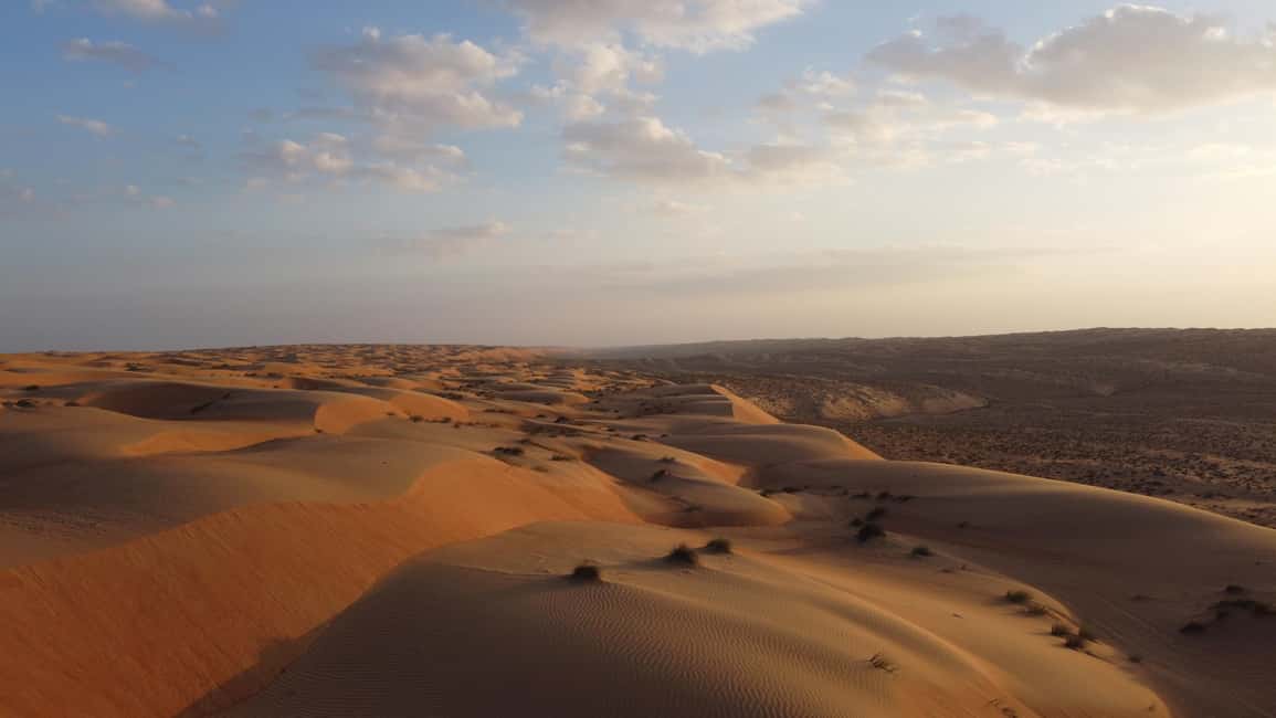Immagine nº 30 di Da Muscat: Tour guidato di una notte nel campo del deserto attività a Regione al-Sharqiyya, caricata dal fornitore