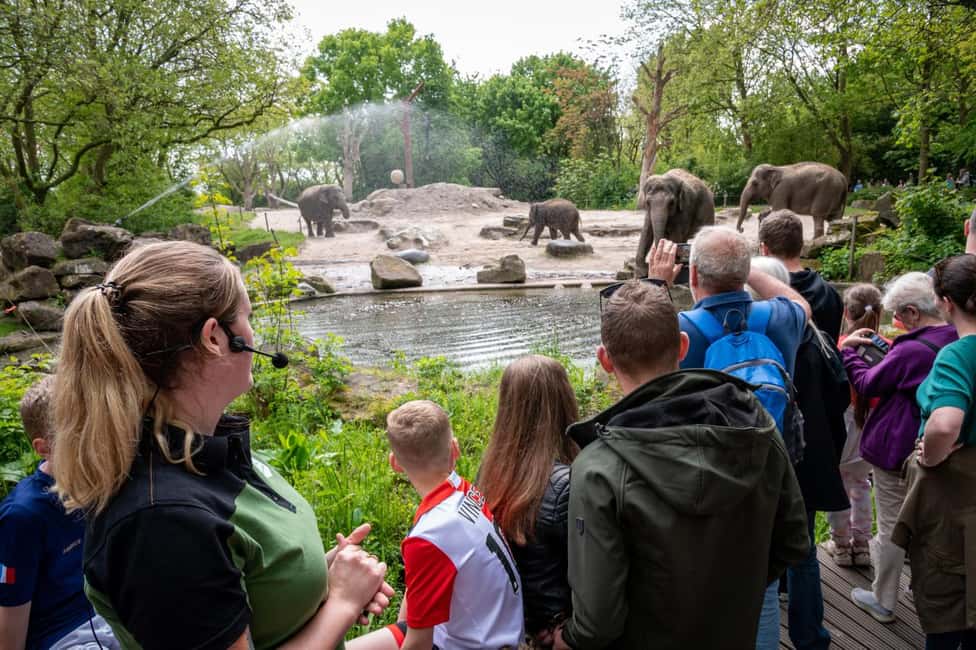 billede nr.5 af aktiviteten Rotterdam: Rotterdam Zoo Blijdorp entrébillet i Rotterdam, uploadet af udbyder
