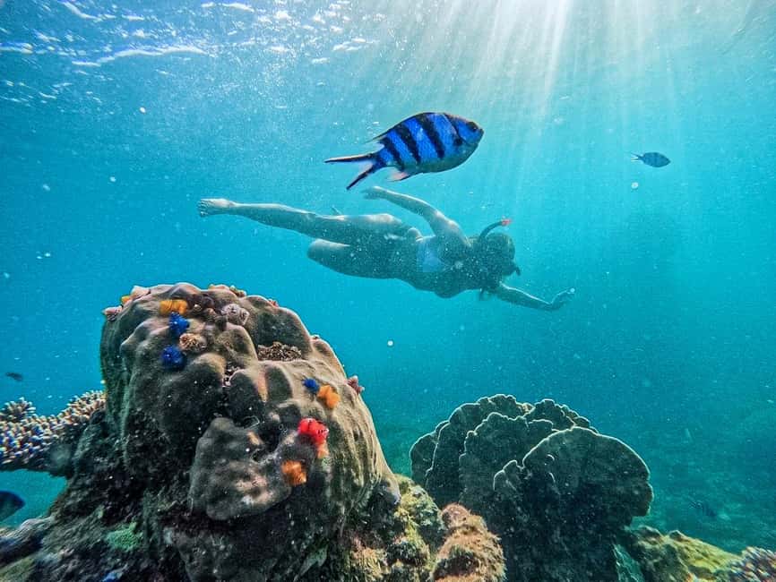 image n.39 of Ko Tao: Tao-Nangyuan Snorkeling Day Trip with Meals & Sunset activity in Ko Tao, uploaded by supplier