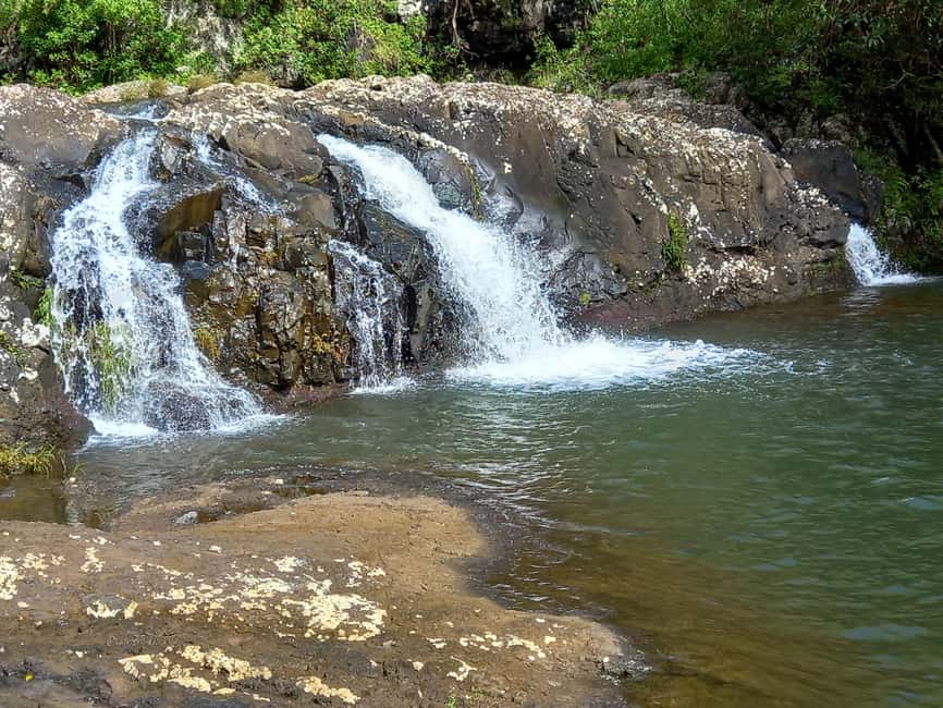 bild nr.4 av Tamarind Falls 7 Cascades Halvdagsvandring aktivitet i Tamarin, Mauritius, uppladdad av arrangören