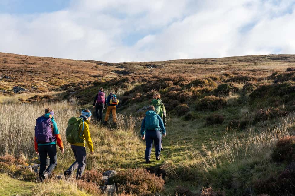 image n.9 of From Edinburgh: 4,000ft Mountain Hike - Scottish Highlands activity in Scottish Highlands, uploaded by supplier