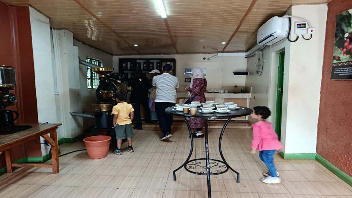 image n.14 of Coffee Farm Tour (Fairview) activity in Kiambu, uploaded by supplier