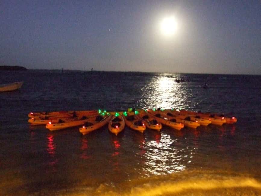 image n.2 of Fajardo: Bioluminescent Lagoon Kayak or Full Moon Kayak Tour activity in Fajardo, uploaded by supplier