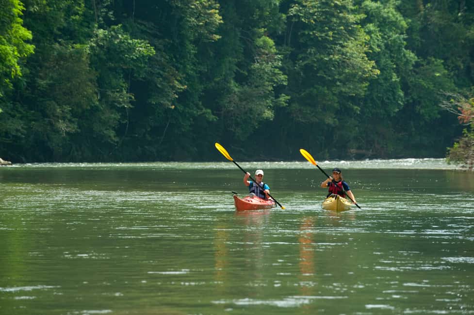 image n.3 of Monkey Island and Indian Village Tour activity in Panama Province, uploaded by supplier