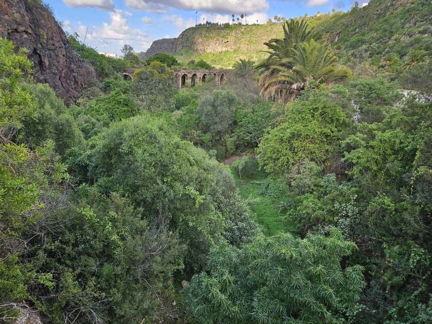 image n.12 of Private Bandama Caldera, Botanic Garden(/Wine*), Old Town activity in Las Palmas, uploaded by supplier