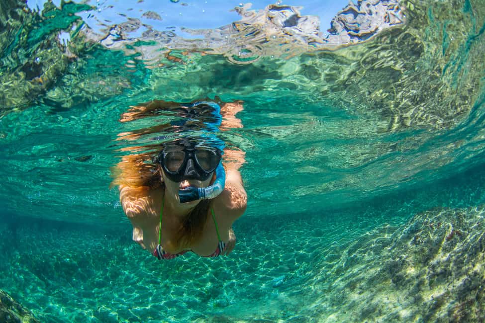 billede nr.10 af aktiviteten Tenerife: Marine-Life Tour med transfer, buffet og drikkevarer i Costa Adeje, uploadet af udbyder