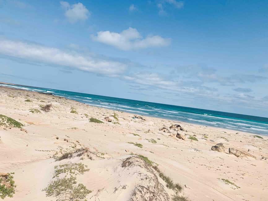 image n.15 of Sal Rei: Boa Vista Island Full-Day North to South Discovery activity in Boa Vista Island, uploaded by supplier