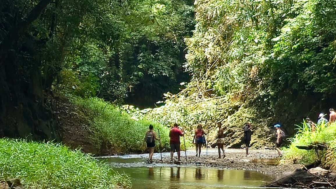 image n.6 of Panama City: Waterfall and Embera Village Tour with lunch activity in Colón Province, uploaded by supplier