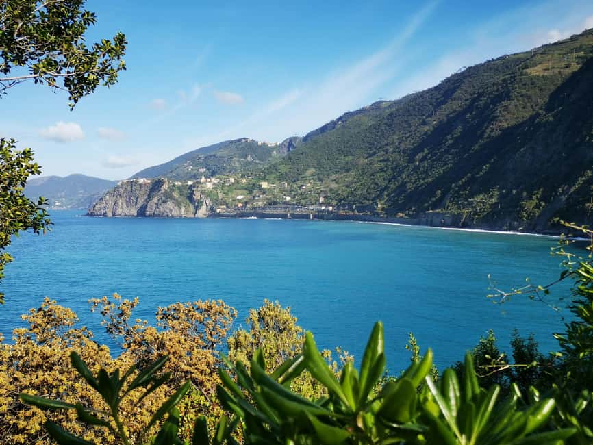 Immagine nº 28 di Da Firenze: Tour per piccoli gruppi alle Cinque Terre e a Pisa attività a Pisa, caricata dal fornitore