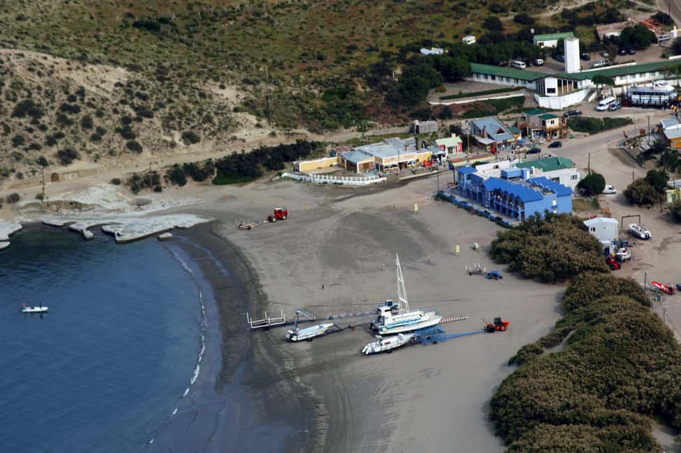 Bild Nr. 23 von Puerto Piramides: Walbeobachtungstour mit dem Boot Aktivität in Argentinien, hochgeladen vom Anbieter