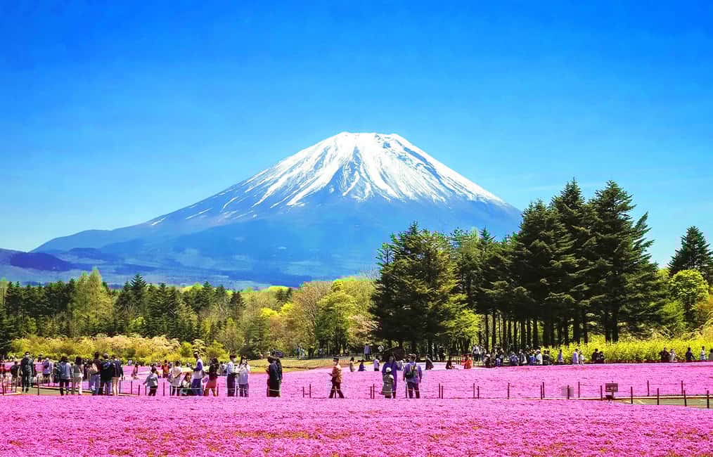 image n.1 of Tokyo: Mount Fuji, Kawaguchi Lake, Oshino Hakkai 1-Day Trip activity in Fujikawaguchiko, uploaded by supplier