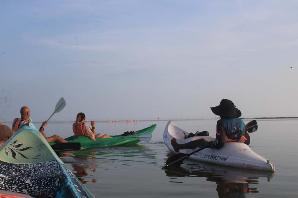 Image N°1 de Holbox : Visite guidée en kayak au lever/coucher du soleil dans la réserve de mangroves activité à Holbox, publiée par le prestataire