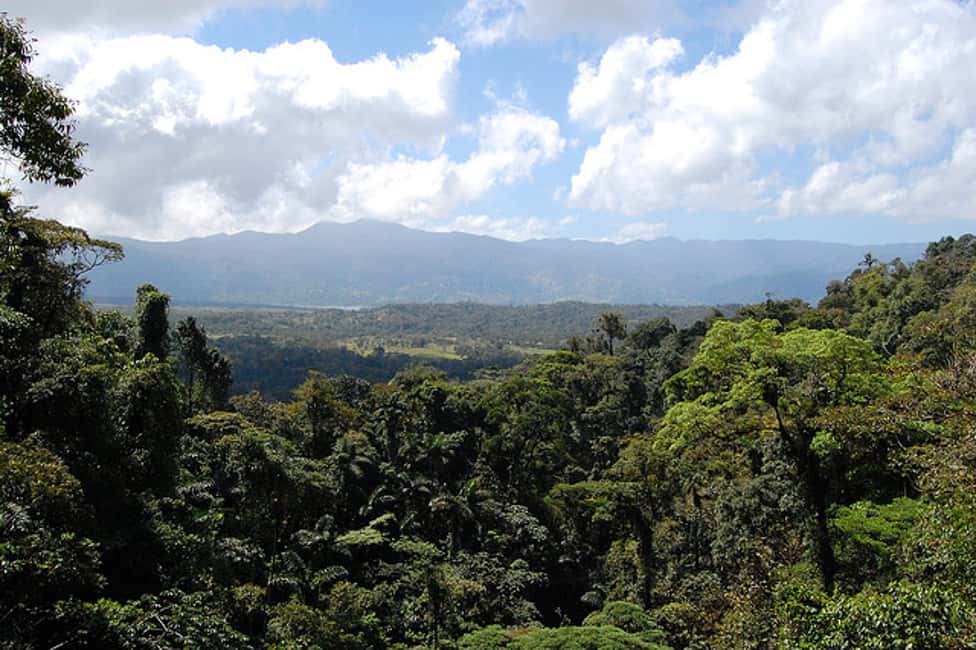 image n.5 of Arenal: Hanging Bridges Walking Tour activity in La Fortuna, uploaded by supplier