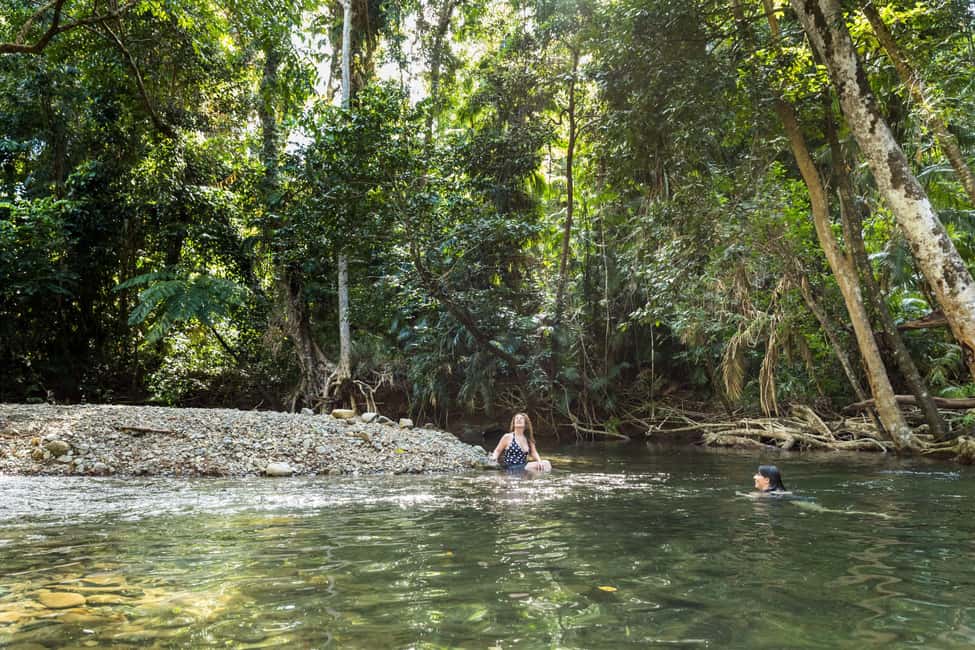 image n.7 of From Cairns: Daintree Rainforest & Cape Tribulation 4WD Tour activity in Queensland, uploaded by supplier