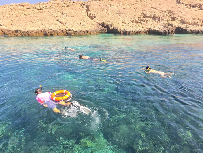 Immagine nº 38 di Isola di Daymaniyat: tour di snorkeling con pranzo gustoso attività a Seeb, caricata dal fornitore