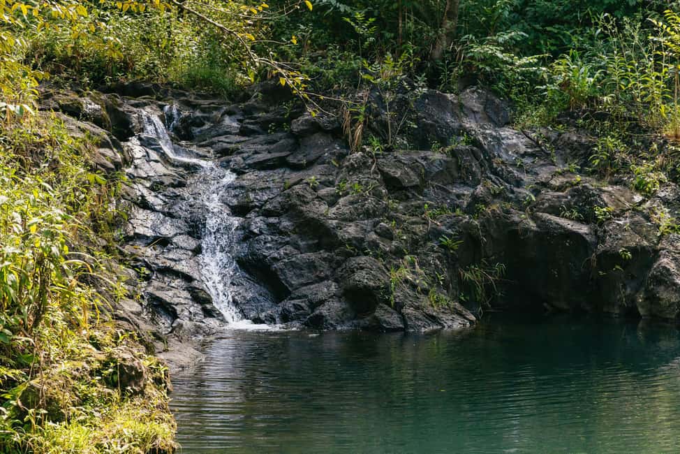 image n.12 of Maui: Rainforest Waterfalls Guided Hike with Picnic Lunch activity in Haiku, Hawaii, uploaded by supplier