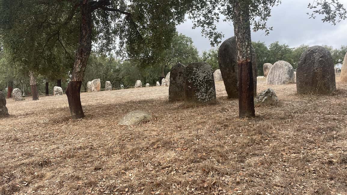 imagem n.4 de Évora: Cromeleque dos Almendres e Anta Grande do Zambujeiro atividade em Distrito de Évora, carregada pelo fornecedor