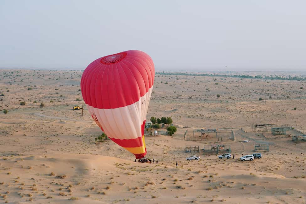 image n.22 of Dubai: Hot Air Balloon Ride with Camel Ride & Falcon Show activity in Dubai, uploaded by supplier