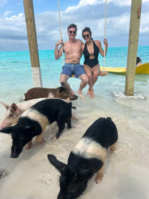Image N°36 de Nassau : Cochons, plongée en apnée, tortues, déjeuner, club de plage privé activité à New Providence, publiée par le prestataire