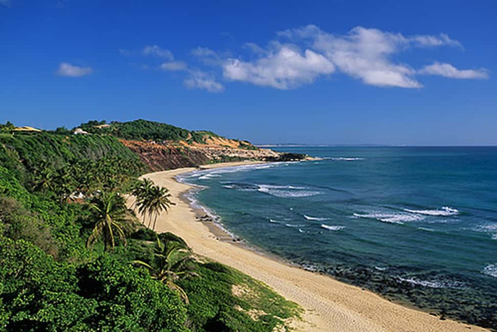 image n.2 of From Natal: Pipa, Cacimbinhas, And Love Beach Full-Day Tour activity in Natal, uploaded by supplier