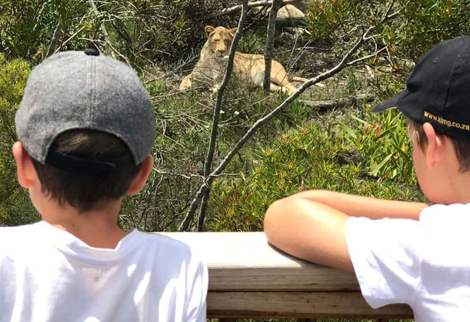 image n.5 of Plettenberg Bay: Wild Cat and Wildlife Guided Tour activity in Plettenberg Bay, uploaded by supplier