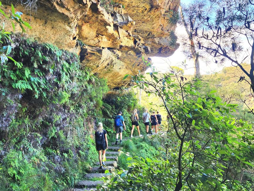 image n.30 of From Sydney: Blue Mountains Tour with Waterfall Walk & Lunch activity in Wentworth Falls, uploaded by supplier