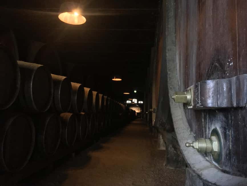 billede nr.17 af aktiviteten Fra Lissabon: Privat tur med vin- og ostesmagning i Setúbal, uploadet af udbyder