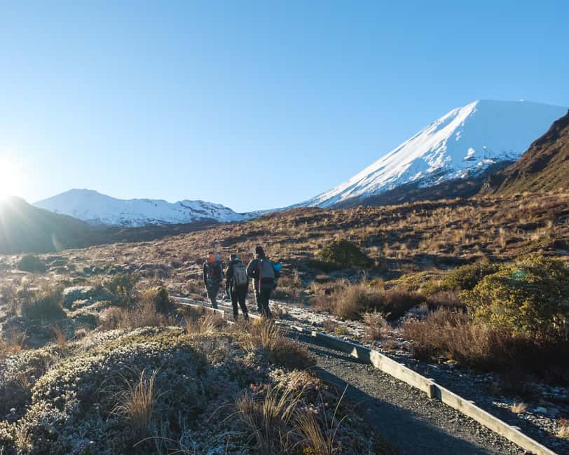 image n.4 of Tongariro Alpine Crossing: Premium Guided Hike activity in Taupo District, uploaded by supplier
