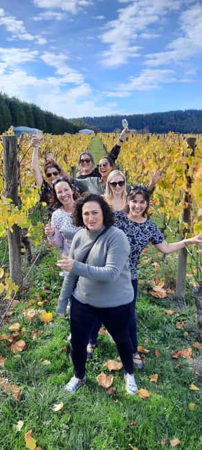 image n.4 of From Wellington: Martinborough Winery Tour activity in Wellington, uploaded by supplier
