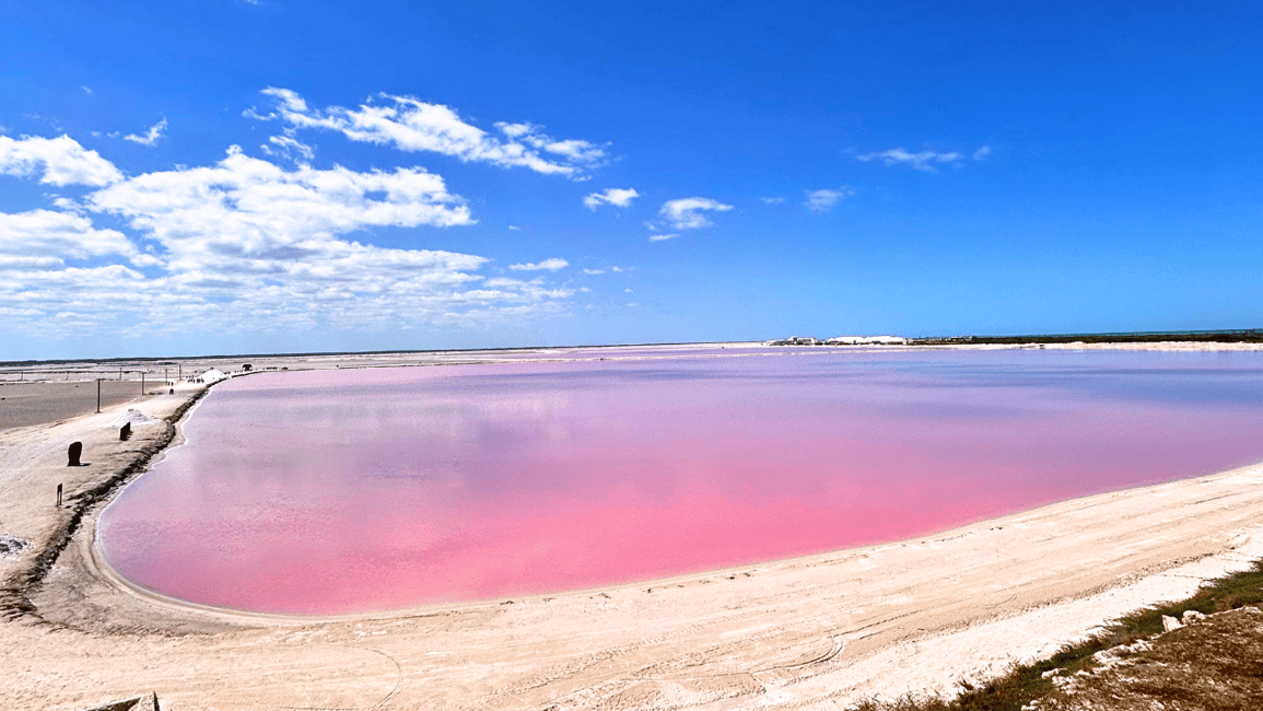 imagem n.7 de De Cancún: Viagem de 1 dia ao Rio Lagartos e Las Coloradas e almoço atividade em Península de yucatán, carregada pelo fornecedor