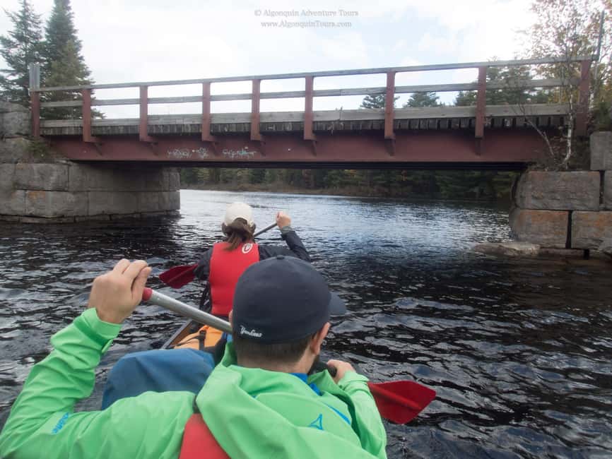 image n.5 of Algonquin Park: Canoe Camping Safari activity in Ontario, uploaded by supplier