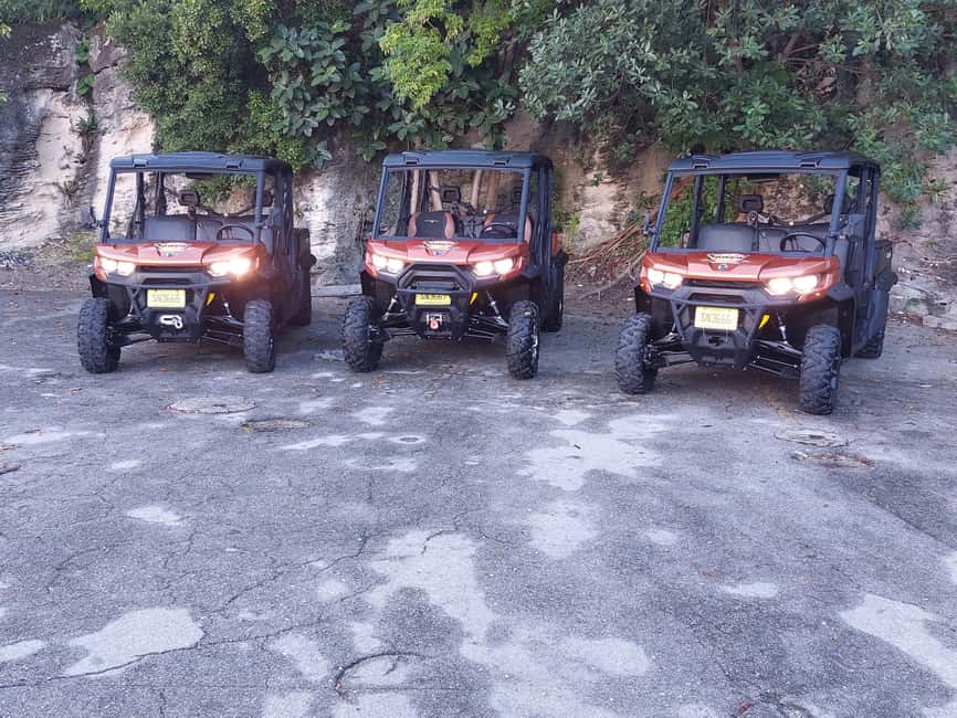 Image N°14 de Nassau : Location de Beach Buggy 6 places activité à Nassau, Bahamas, publiée par le prestataire