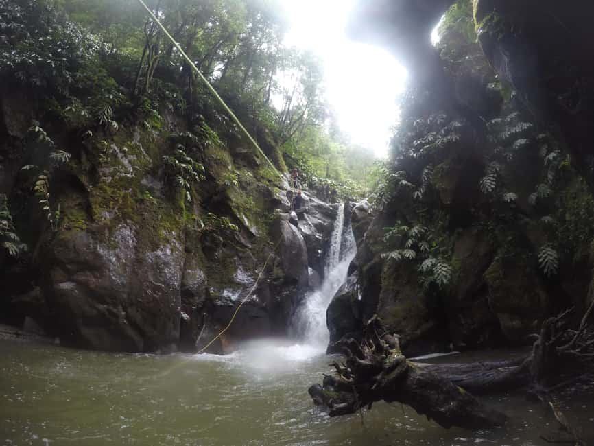 afbeelding n.7 van Sao Miguel, Azoren: Canyoning ervaring in Ribeira Grande activiteit in Azoren, geüpload door aanbieder